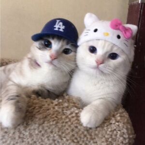 Meet your Posher, Tatyana